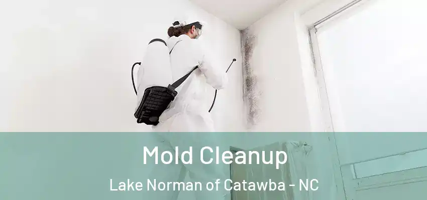 Mold Cleanup Lake Norman of Catawba - NC