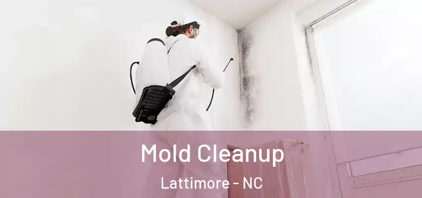 Mold Cleanup Lattimore - NC
