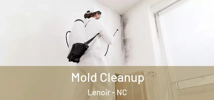 Mold Cleanup Lenoir - NC