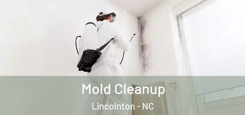  Mold Cleanup Lincolnton - NC