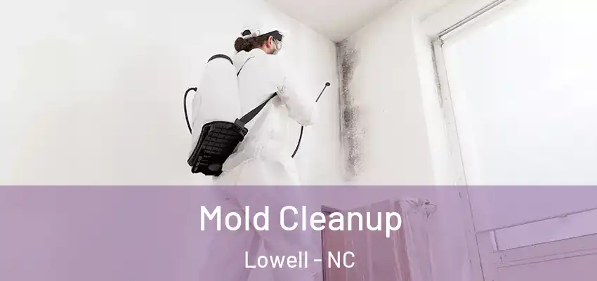 Mold Cleanup Lowell - NC