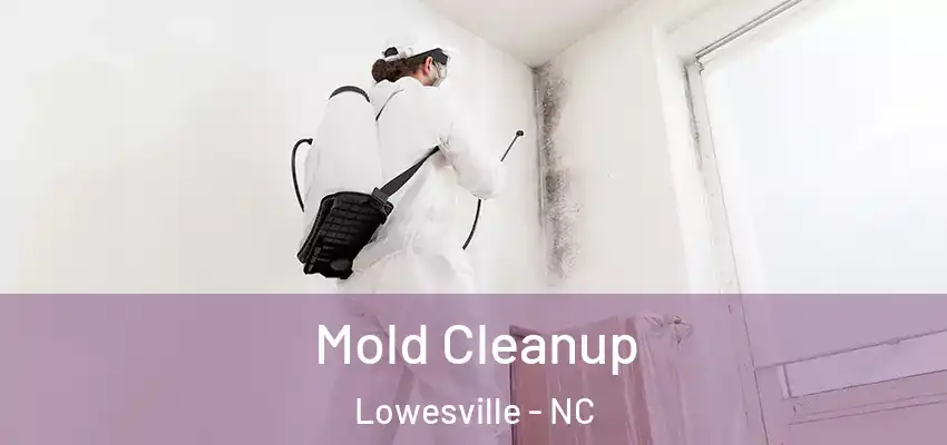 Mold Cleanup Lowesville - NC