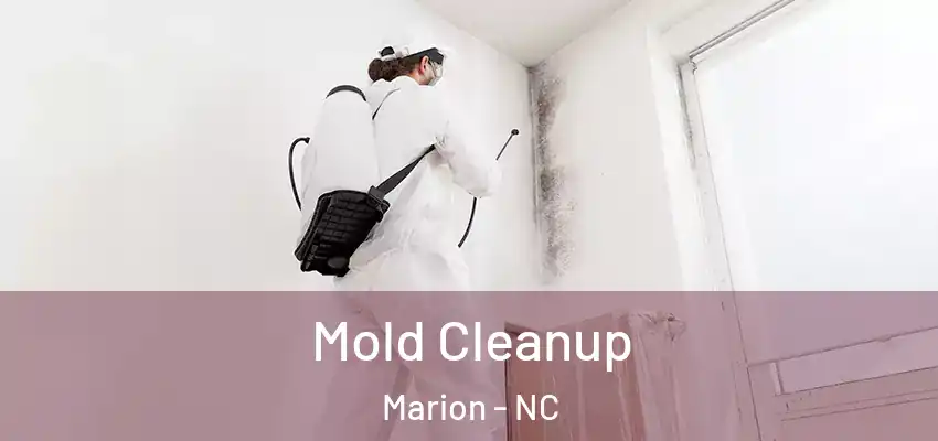 Mold Cleanup Marion - NC