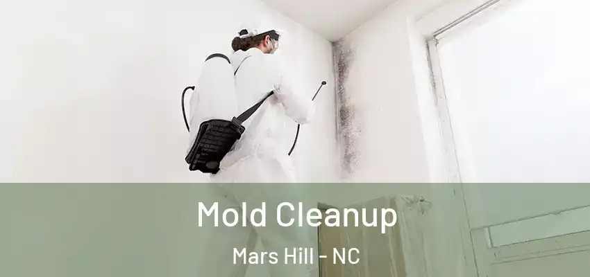 Mold Cleanup Mars Hill - NC