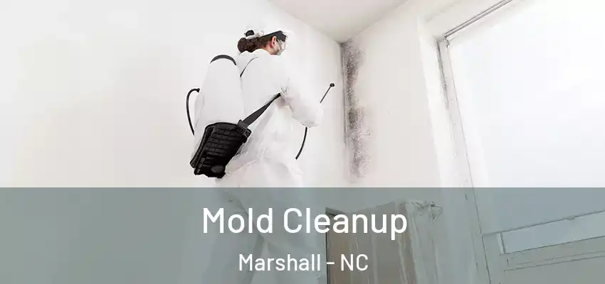 Mold Cleanup Marshall - NC