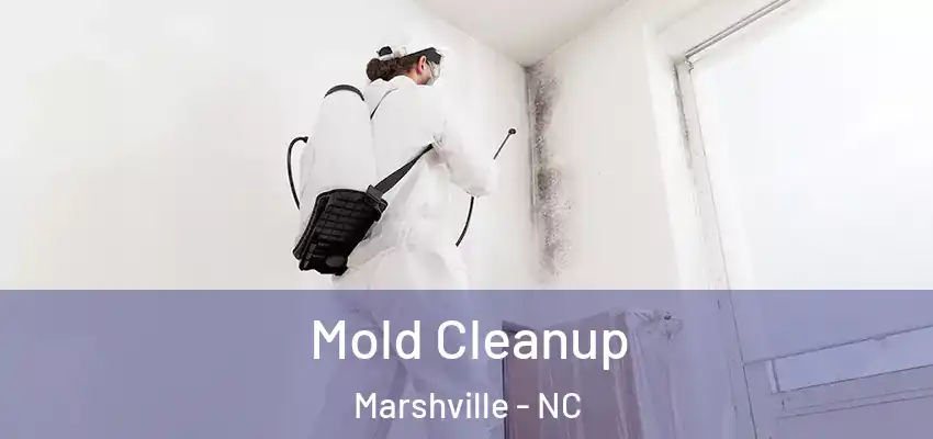 Mold Cleanup Marshville - NC