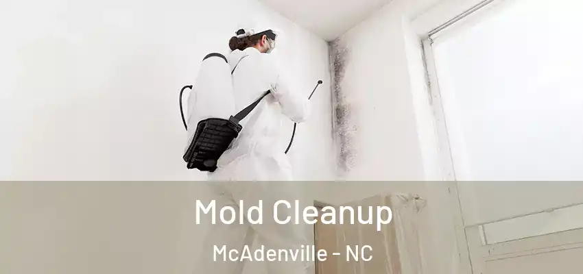  Mold Cleanup McAdenville - NC
