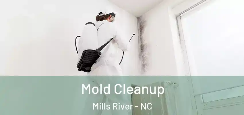 Mold Cleanup Mills River - NC