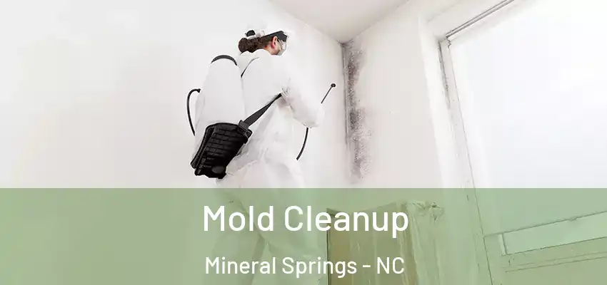 Mold Cleanup Mineral Springs - NC