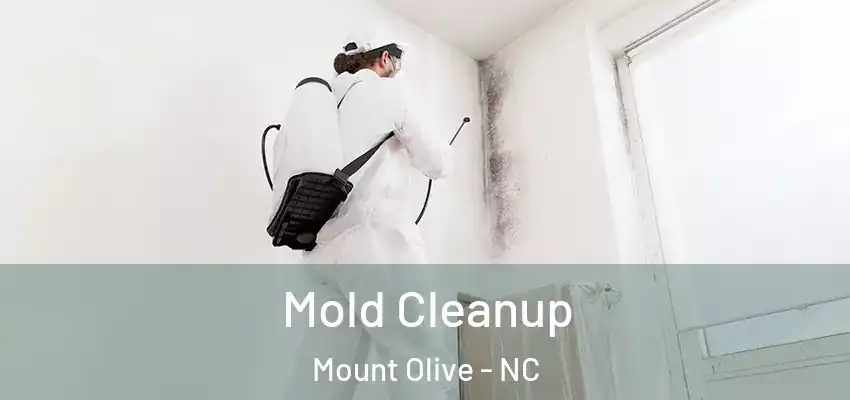  Mold Cleanup Mount Olive - NC