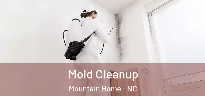 Mold Cleanup Mountain Home - NC