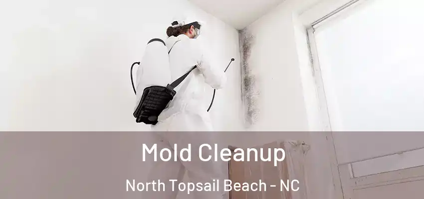 Mold Cleanup North Topsail Beach - NC