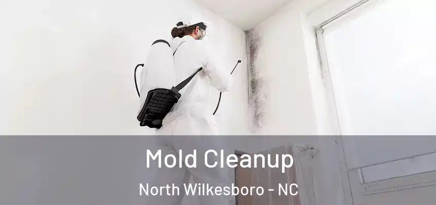  Mold Cleanup North Wilkesboro - NC