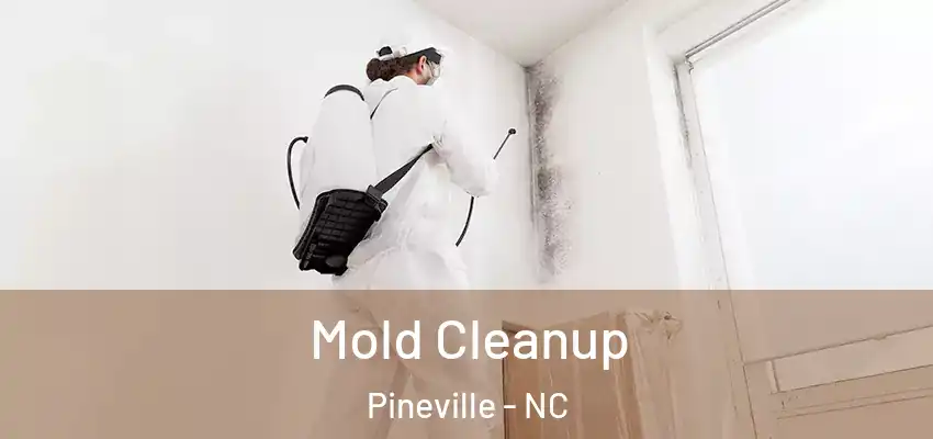 Mold Cleanup Pineville - NC