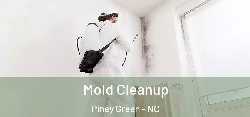  Mold Cleanup Piney Green - NC