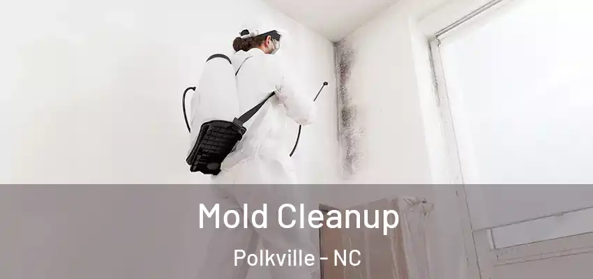Mold Cleanup Polkville - NC