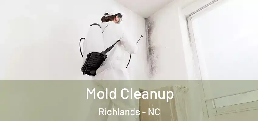  Mold Cleanup Richlands - NC