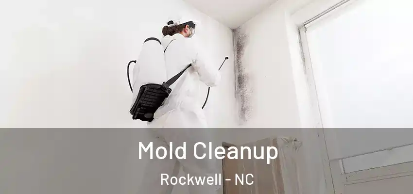 Mold Cleanup Rockwell - NC