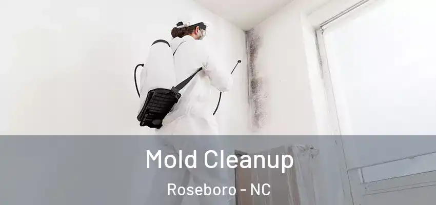 Mold Cleanup Roseboro - NC