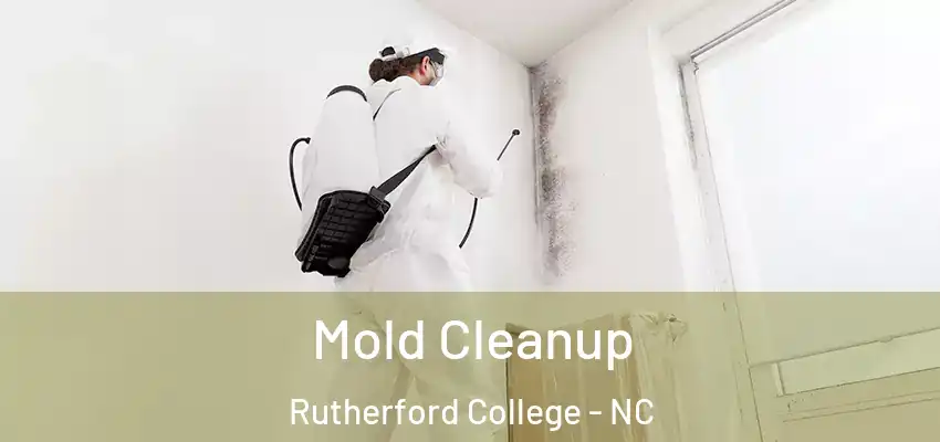  Mold Cleanup Rutherford College - NC