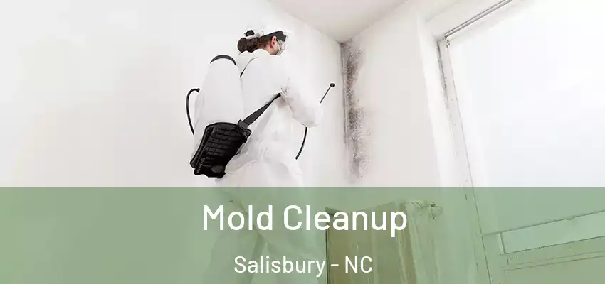 Mold Cleanup Salisbury - NC