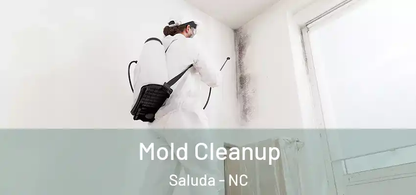 Mold Cleanup Saluda - NC