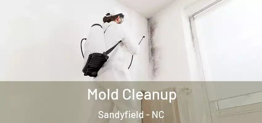  Mold Cleanup Sandyfield - NC