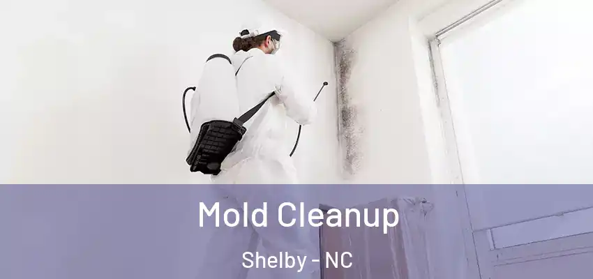 Mold Cleanup Shelby - NC