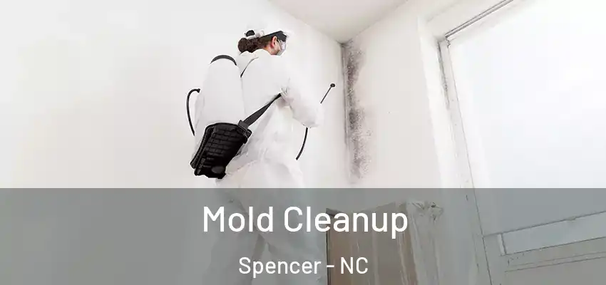 Mold Cleanup Spencer - NC