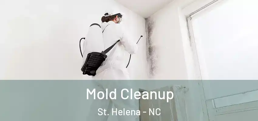  Mold Cleanup St. Helena - NC