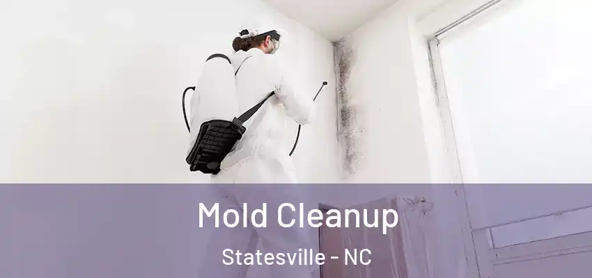 Mold Cleanup Statesville - NC