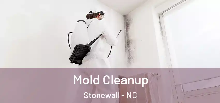  Mold Cleanup Stonewall - NC