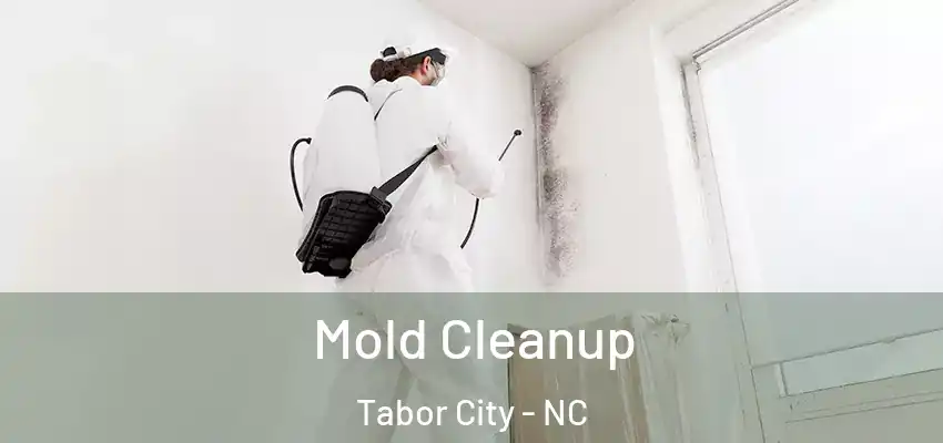  Mold Cleanup Tabor City - NC