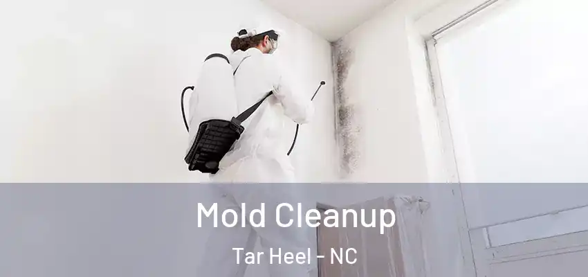 Mold Cleanup Tar Heel - NC