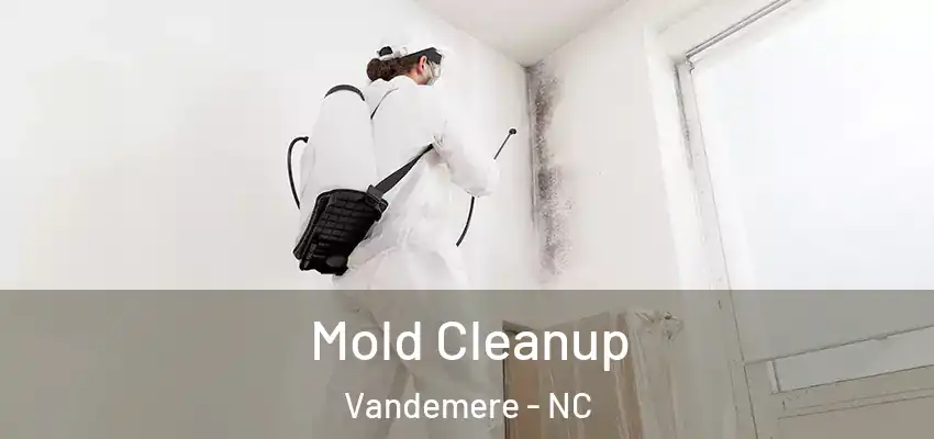  Mold Cleanup Vandemere - NC