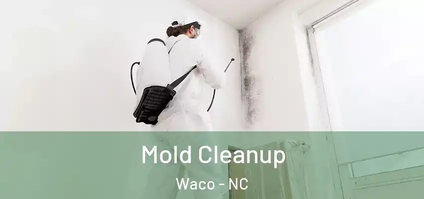 Mold Cleanup Waco - NC