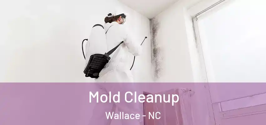Mold Cleanup Wallace - NC