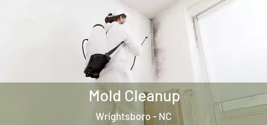 Mold Cleanup Wrightsboro - NC