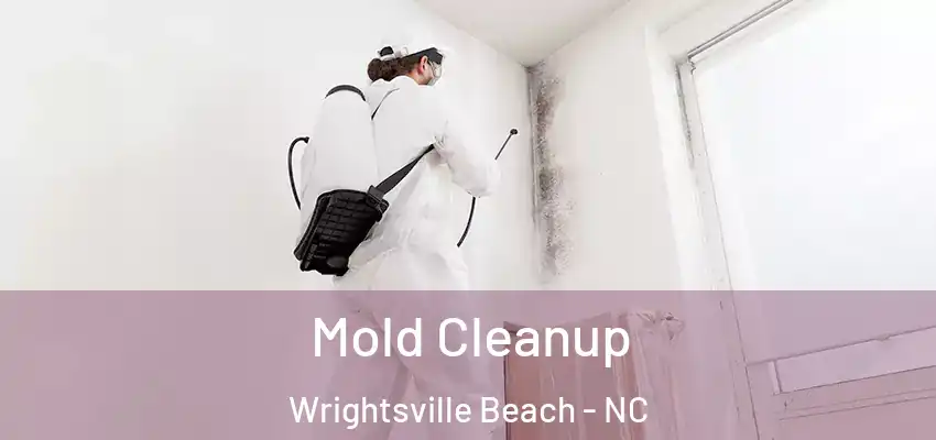 Mold Cleanup Wrightsville Beach - NC