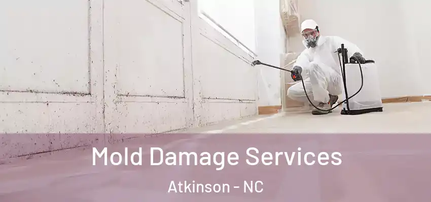  Mold Damage Services Atkinson - NC