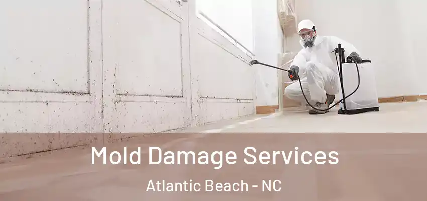  Mold Damage Services Atlantic Beach - NC