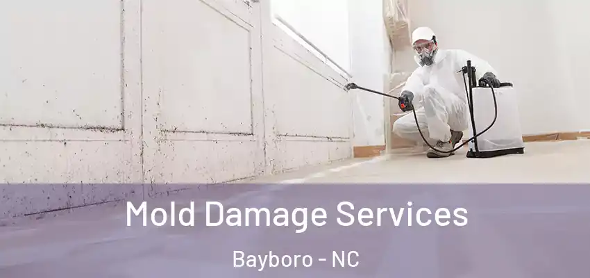  Mold Damage Services Bayboro - NC