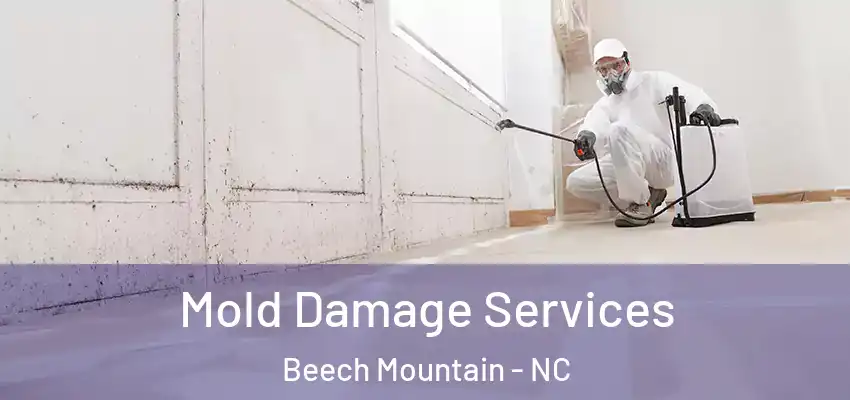  Mold Damage Services Beech Mountain - NC