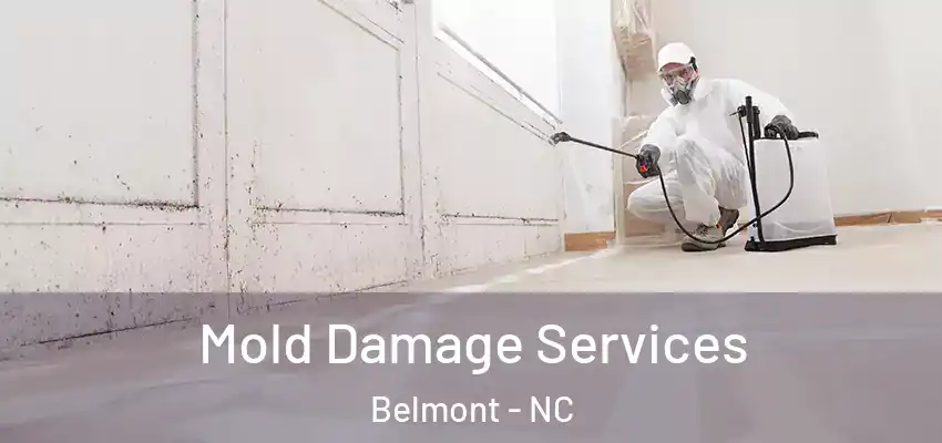  Mold Damage Services Belmont - NC