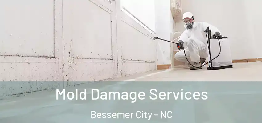  Mold Damage Services Bessemer City - NC