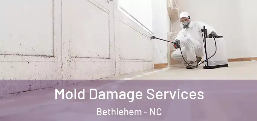  Mold Damage Services Bethlehem - NC