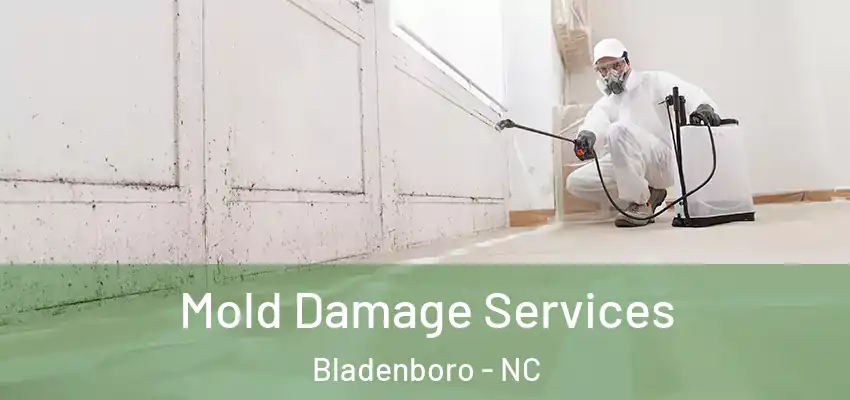  Mold Damage Services Bladenboro - NC