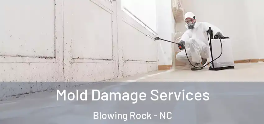  Mold Damage Services Blowing Rock - NC