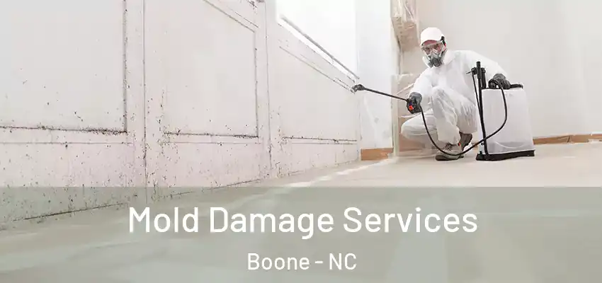 Mold Damage Services Boone - NC