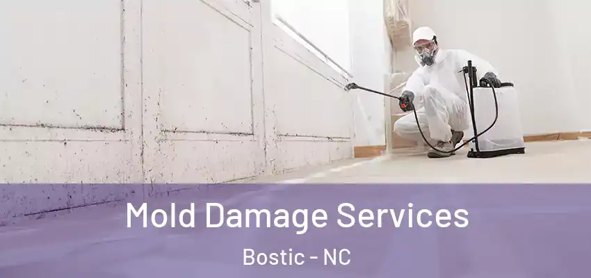  Mold Damage Services Bostic - NC